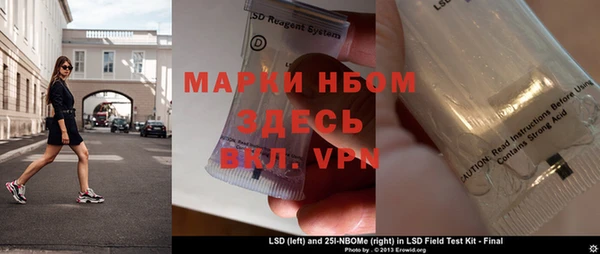 прущие грибы Кукмор