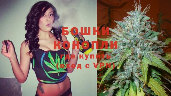 прущие грибы Кукмор