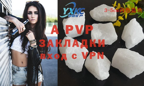 прущие грибы Кукмор