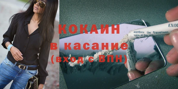 прущие грибы Кукмор