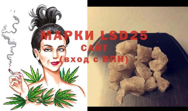прущие грибы Кукмор
