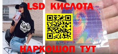 шишки Абакан