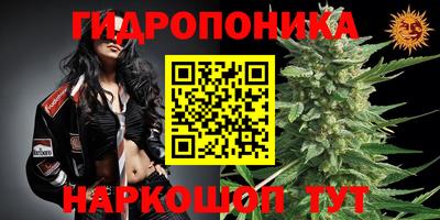 винт Балахна