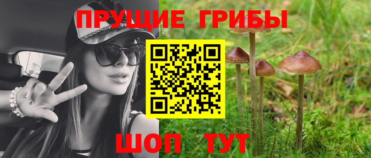 Галлюциногенные грибы Magic Shrooms Рыбинск