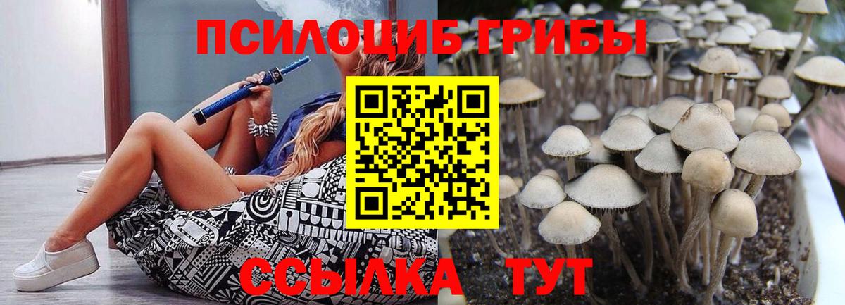 Псилоцибиновые грибы Magic Shrooms  Рыбинск 