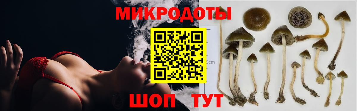 Псилоцибиновые грибы прущие грибы  Вход с VPN  Рыбинск  Псилоцибиновые грибы мухоморы 